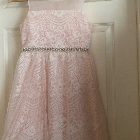 Rare Editions Blush Pink Mesh Dress - Picture 9 of 11